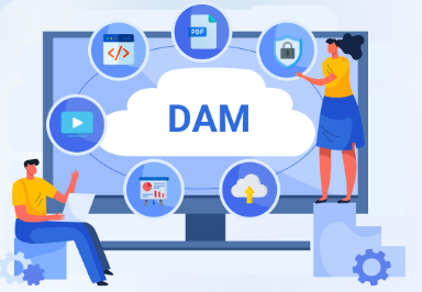 Digital asset management